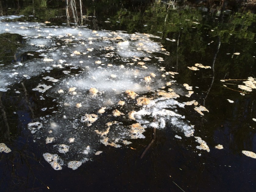 041215 remnants of ice