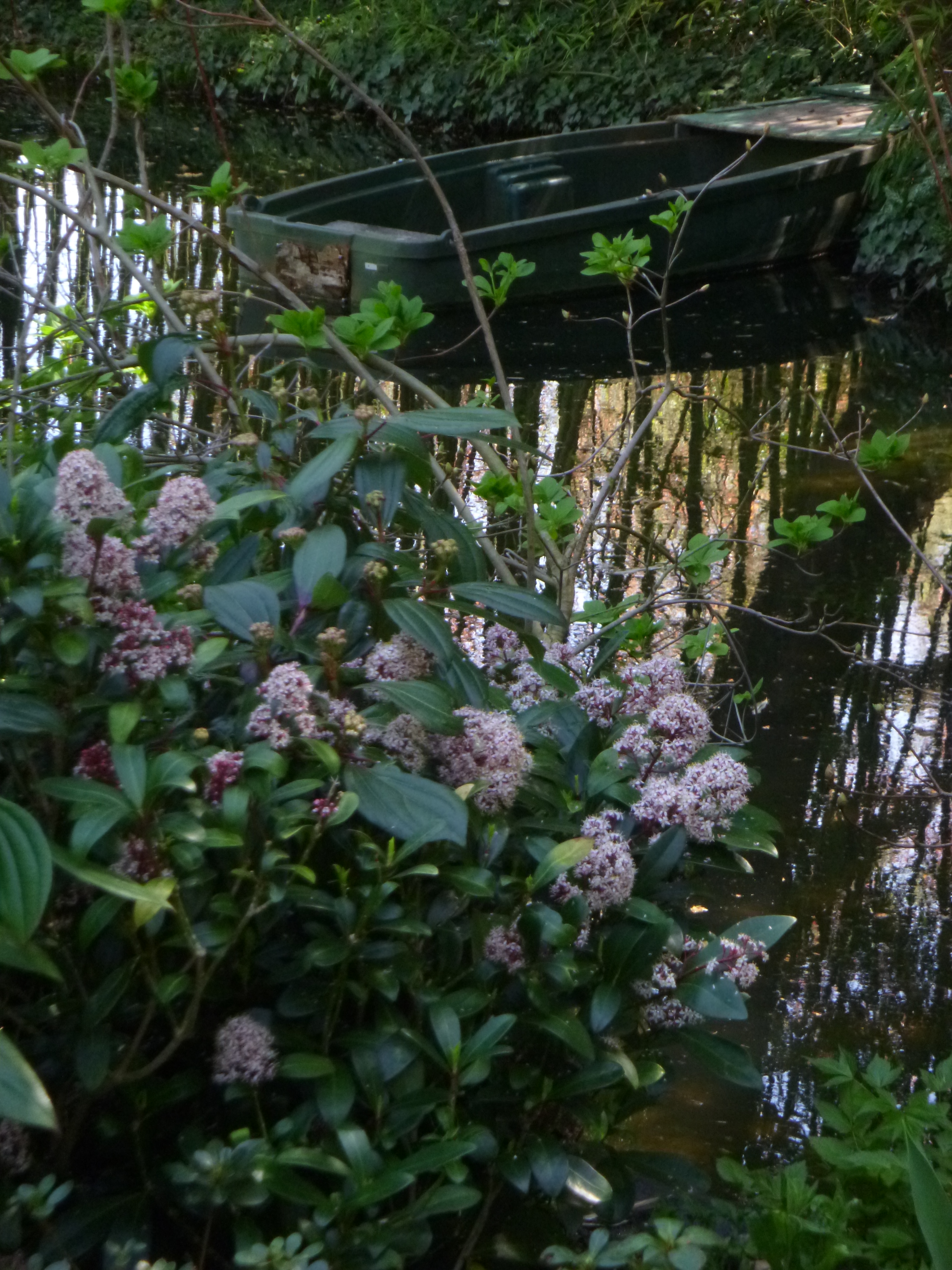 P1010490 - Monet's boat